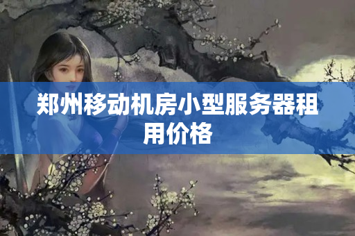 郑州移动机房小型服务器租用价格